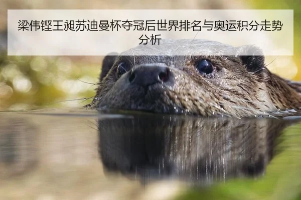 梁伟铿王昶苏迪曼杯夺冠后世界排名与奥运积分走势分析
